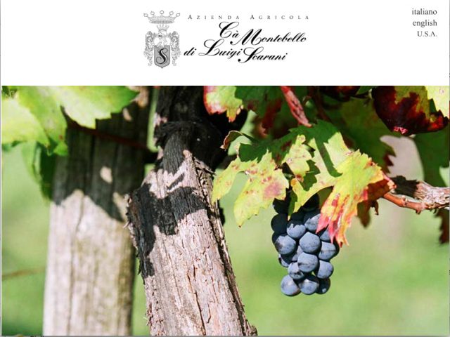 Foto per home page del sito www.camontebello.it