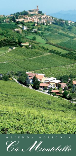 Banner- Vista Azienda Scarani