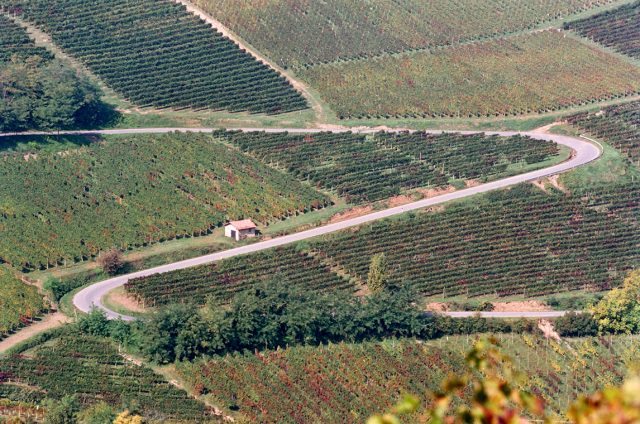 Foto della strada dei vigneti in autunno Oltrepo Pavese