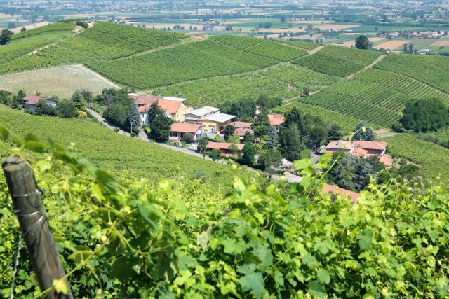 Foto dell' Azienda Scarani vista tra i vigneti dell'Oltrepo Pavese