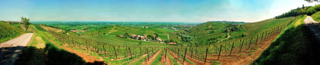 Foto panoramica vigneti Oltrepo Pavese vista da Cigognola con Azienda Ca'Montebello